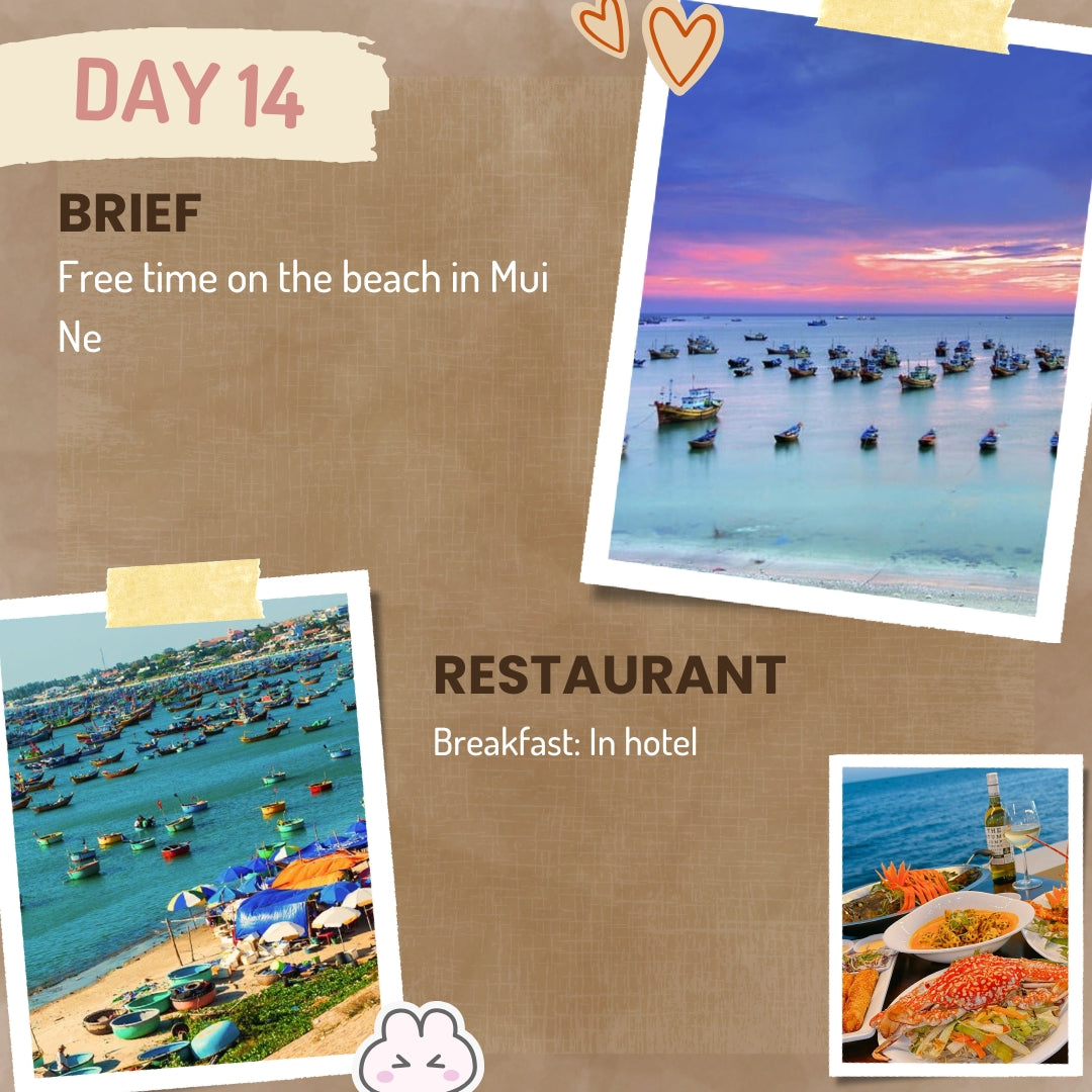Tropical Vacation in Vietnam 🍹 21-Day Best Beach Vacation Package