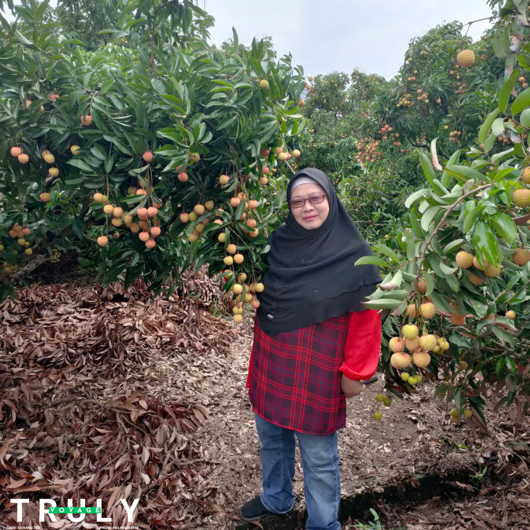 Sweet Summer Escape: Lychee Farm tour