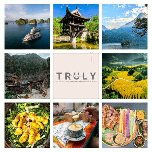 Luxury Package Vacations 🍹 15-Day Travel Across Vietnam