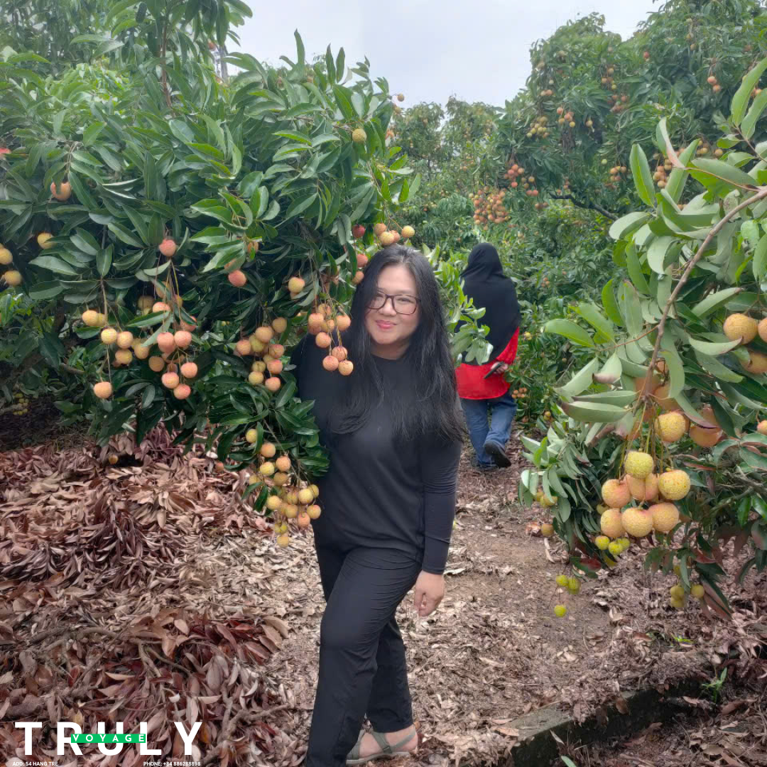 Sweet Summer Escape: Lychee Farm tour