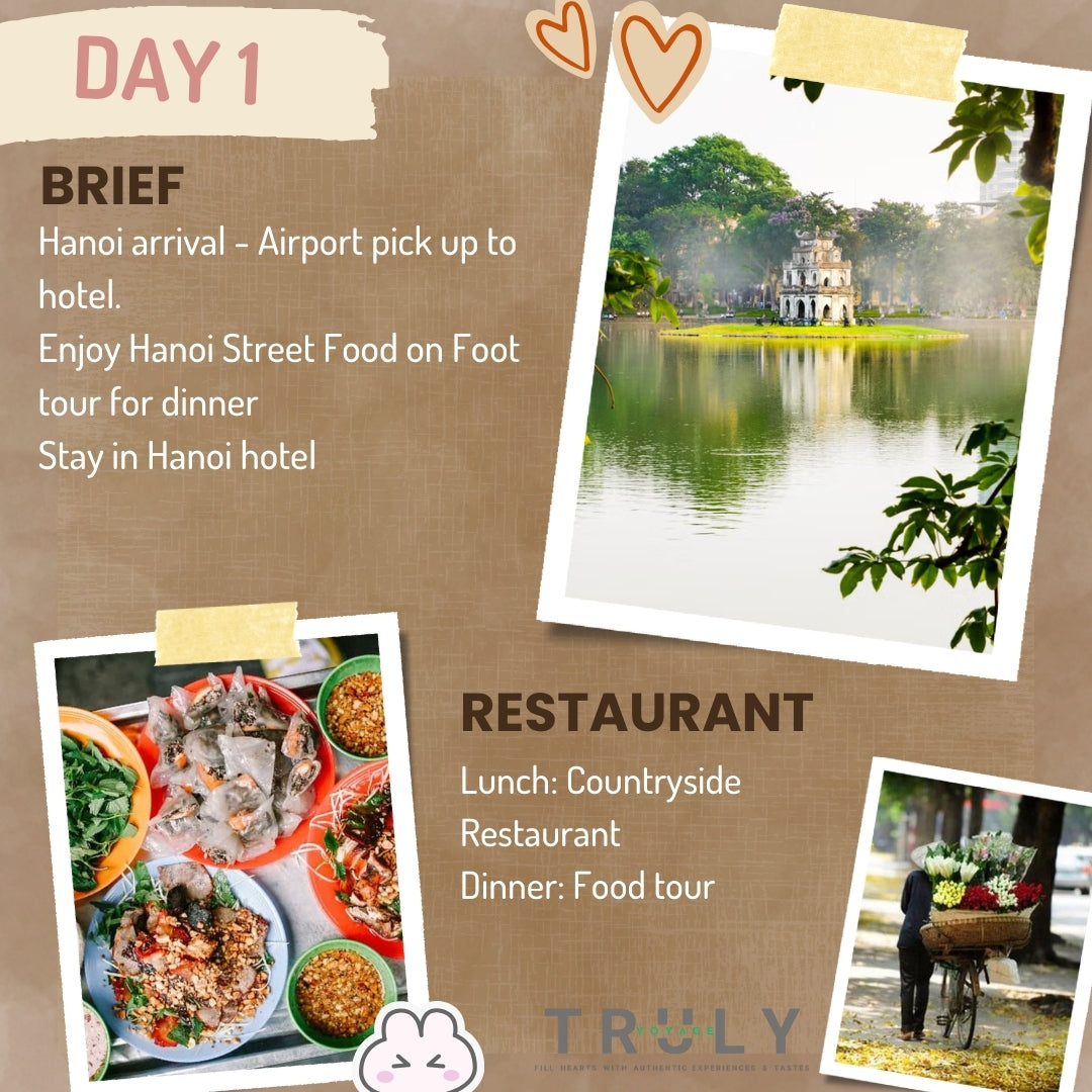 🚗6-Day Vietnam Adventure Tours North to Central