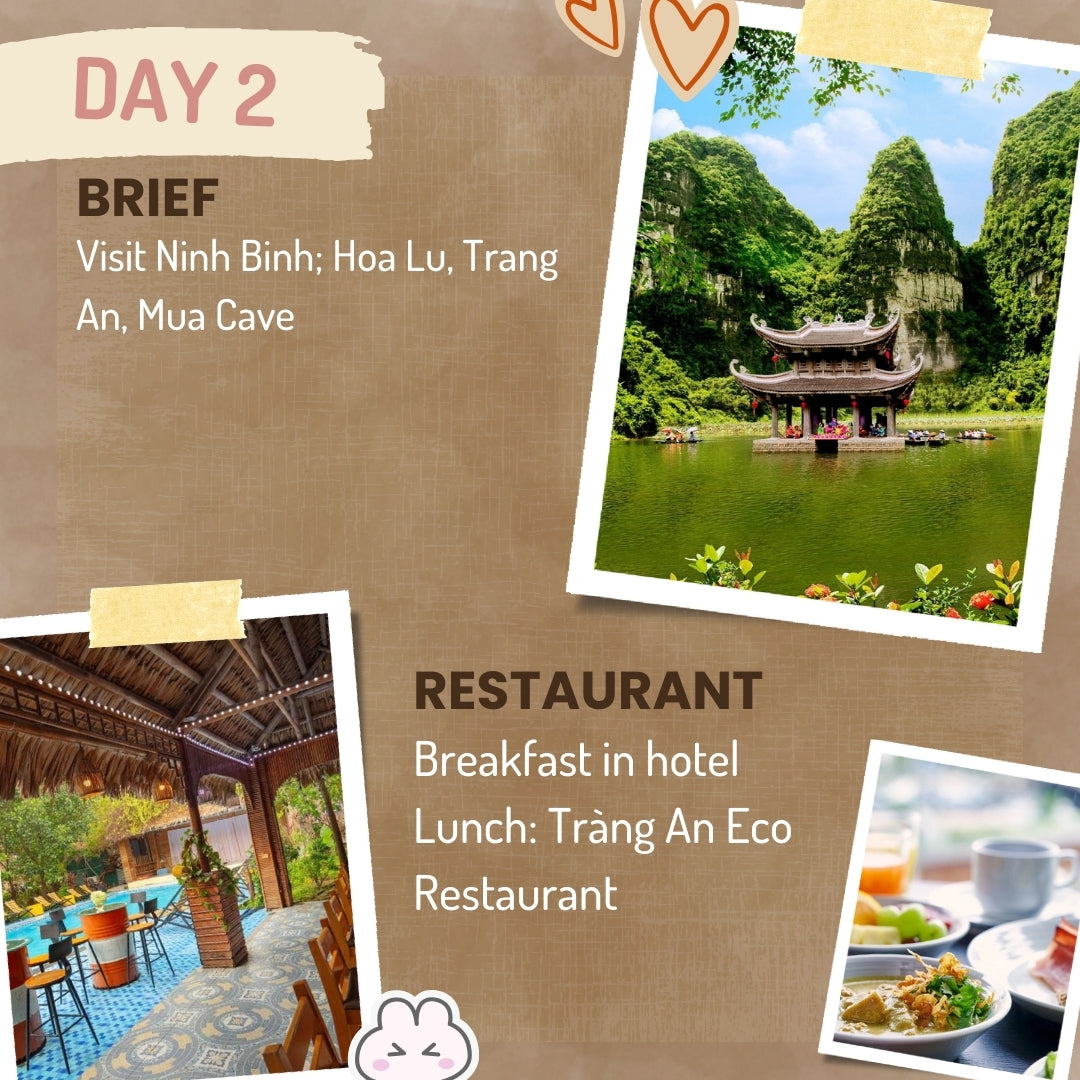 Tropical Vacation in Vietnam 🍹 21-Day Best Beach Vacation Package