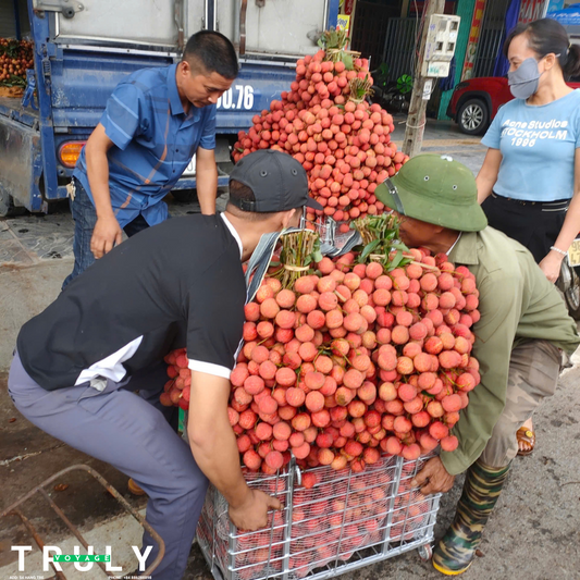 Sweet Summer Escape: Lychee Farm tour