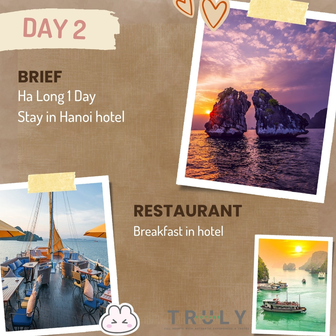 🚗6-Day Vietnam Adventure Tours North to Central