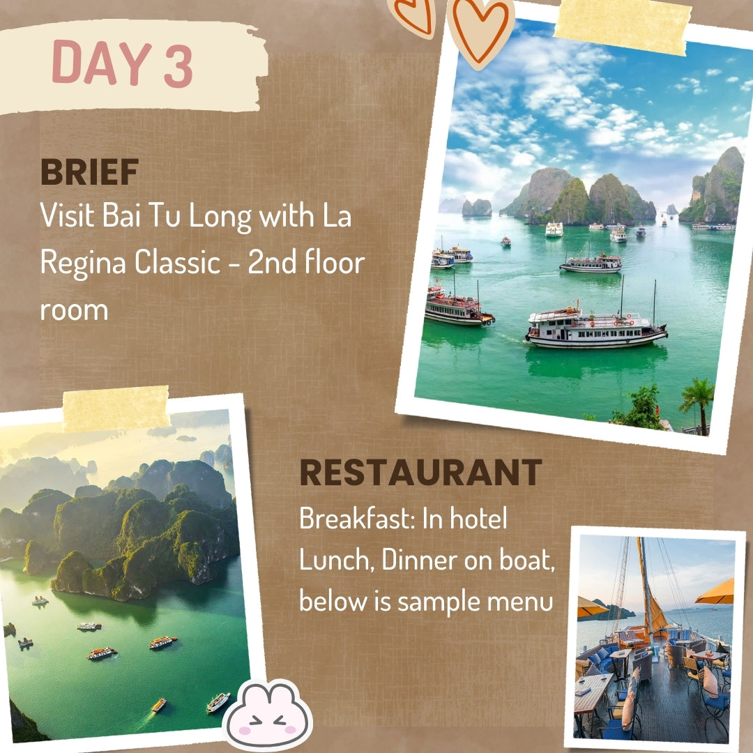 Tropical Vacation in Vietnam 🍹 21-Day Best Beach Vacation Package