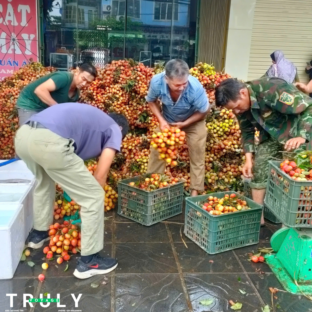 Sweet Summer Escape: Lychee Farm tour