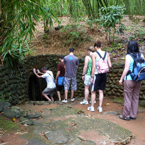 Cu Chi Tunnels Vietnam 🛺 Half Day Tour from Ho Chi Minh