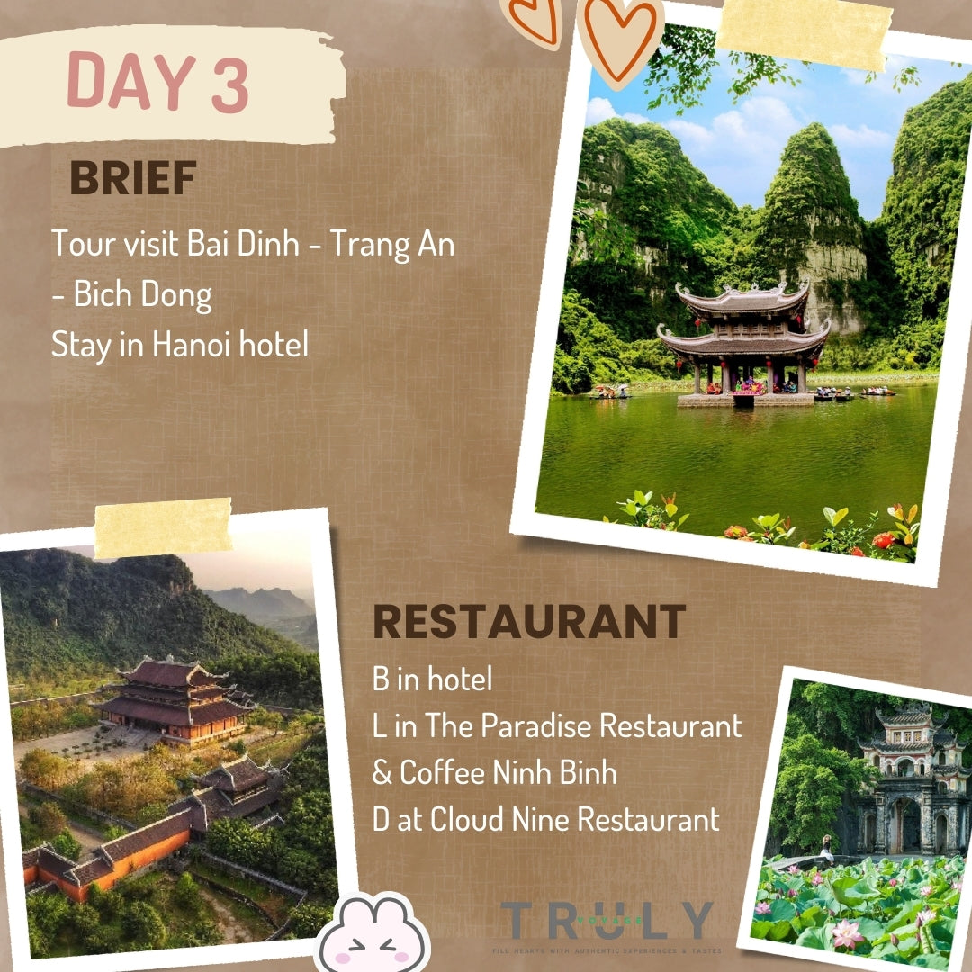 Luxury Package Vacations 🍹 15-Day Travel Across Vietnam