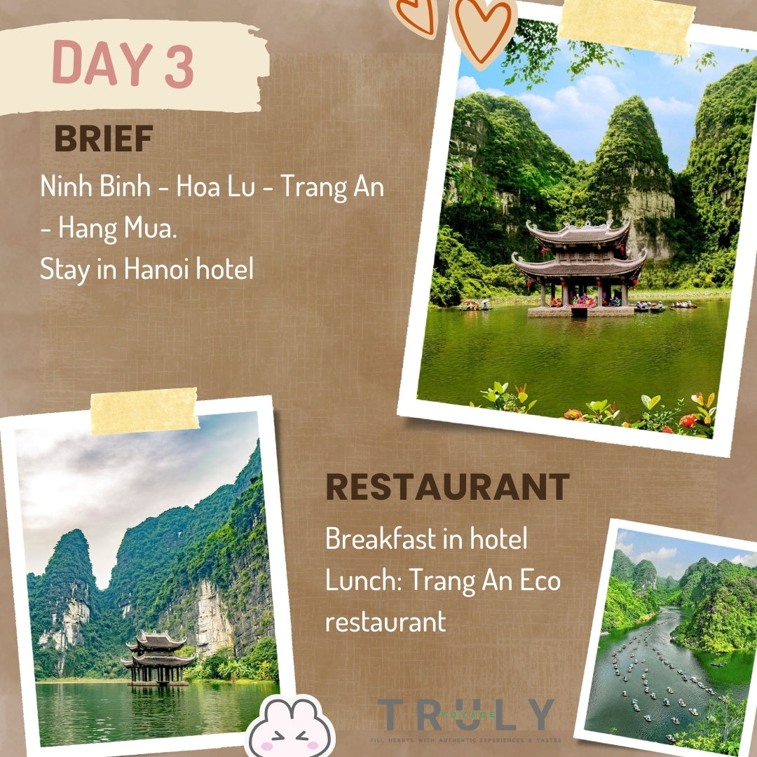 🚗6-Day Vietnam Adventure Tours North to Central