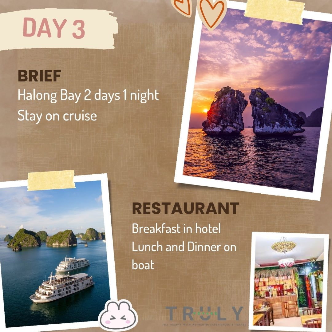 Vietnam Mountain Getaways🚞5-Day Northern Leisure Travel