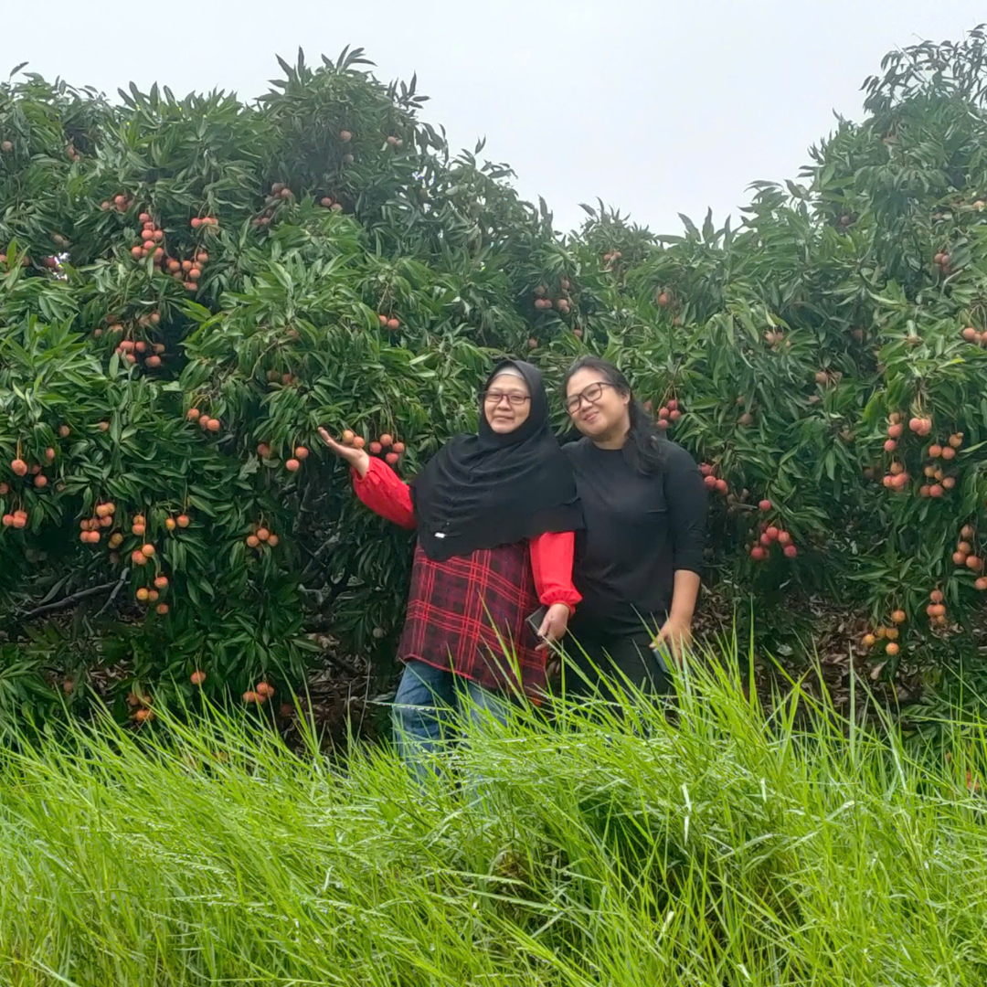 Sweet Summer Escape: Lychee Farm tour