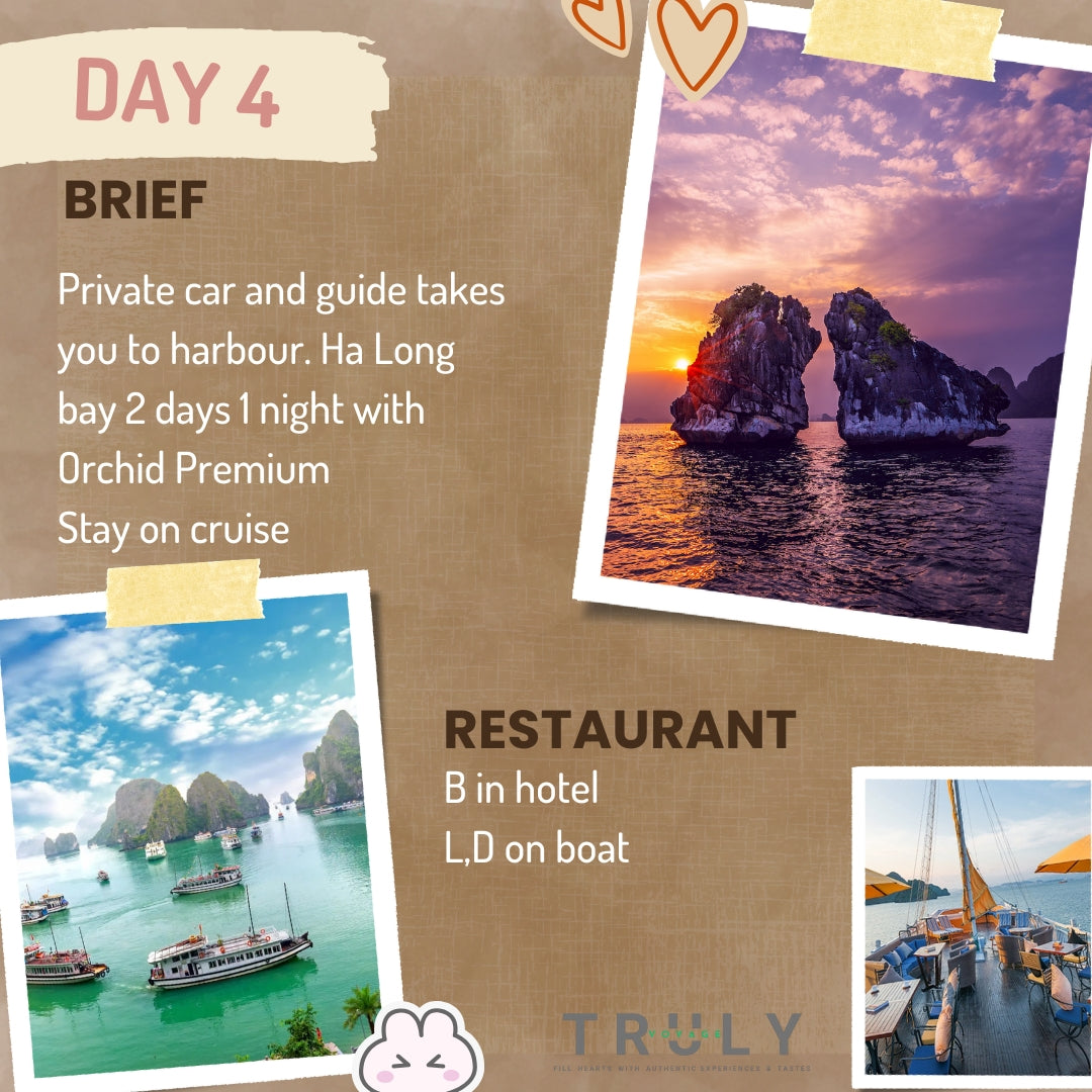 Luxury Package Vacations 🍹 15-Day Travel Across Vietnam