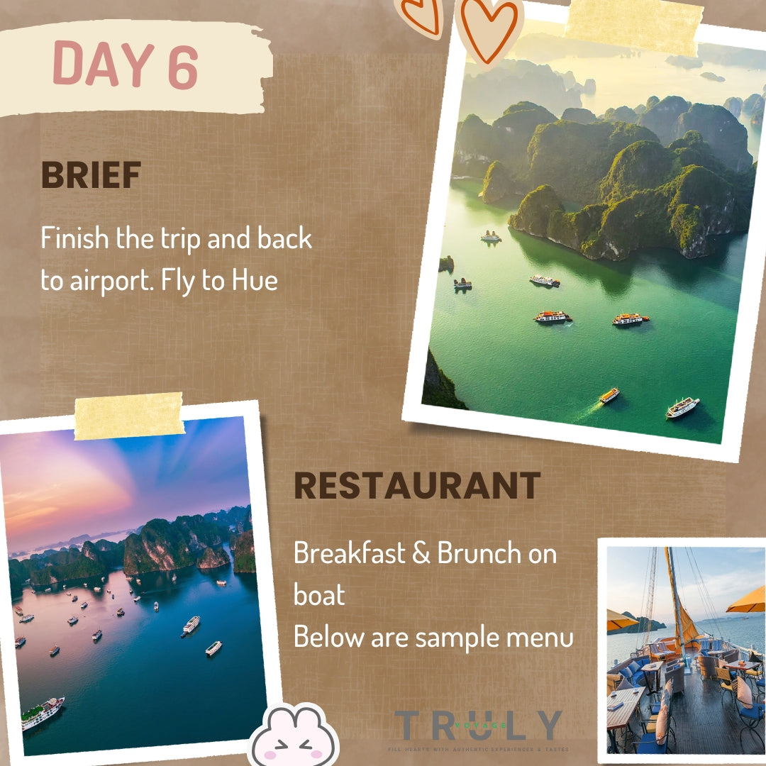 Vietnam Travel 🚎 14-Day Adventure Tour With All Highlights