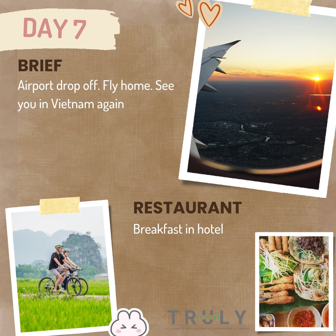 Cycling Vacation 🚴♀️ Untouched Southern Vietnam Bicycle Loop Tour