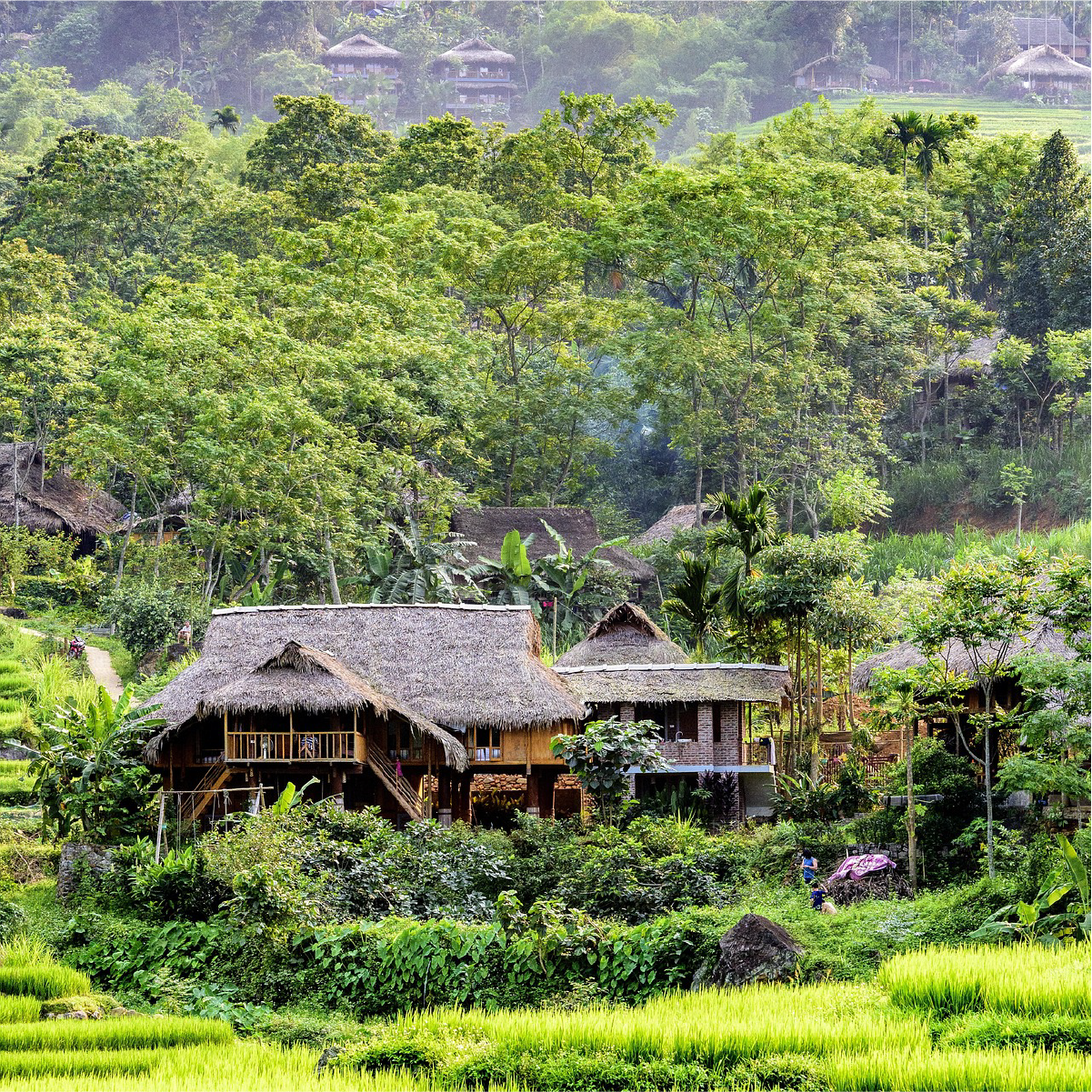 Pu Luong Tour Package 🚎 Sapa's Cooler Cousin