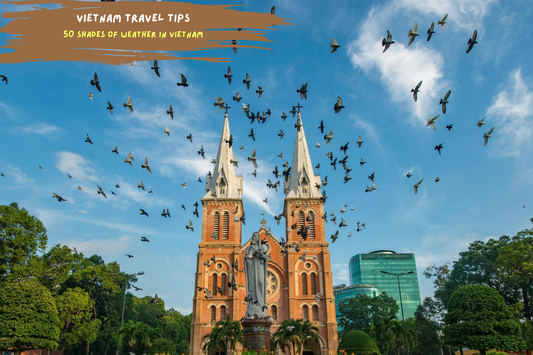 50 Shades of Weather in Vietnam