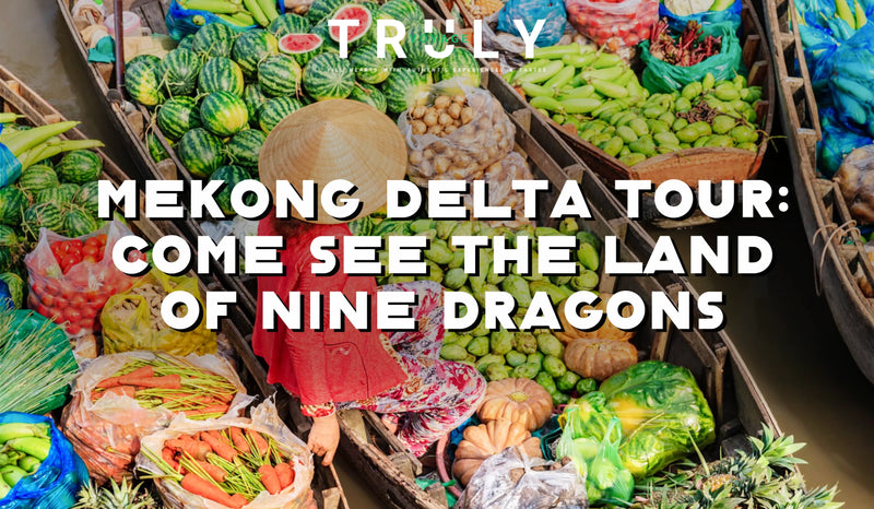 Mekong Delta Tour: Come see the Land of Nine Dragons