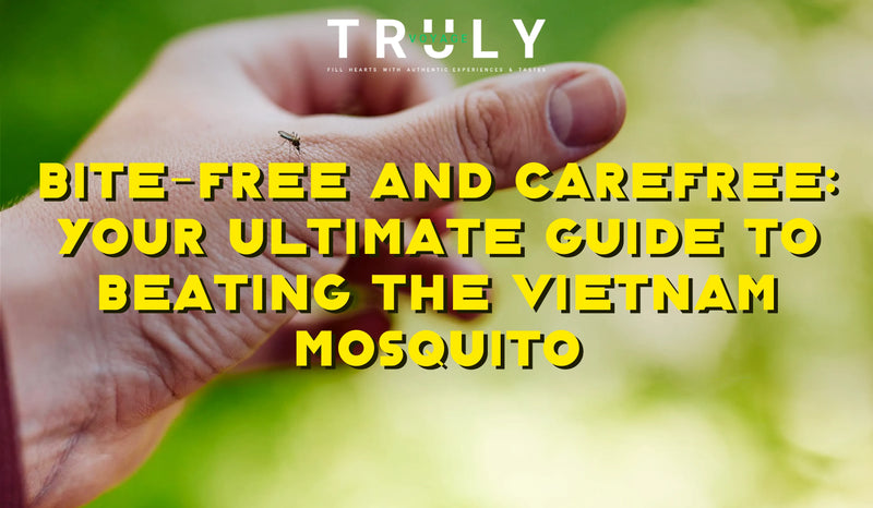 blog post graphic titled "Bite-Free and Carefree: Your Ultimate Guide to Beating the Vietnam Mosquito" showing a close-up of a mosquito landing on a person's hand against a green blurred background.