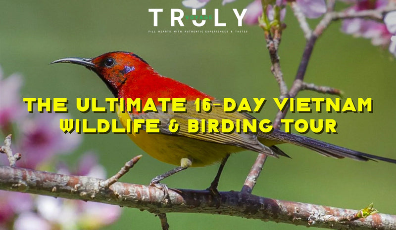 The Ultimate 16-Day Vietnam Wildlife & Birding Tour