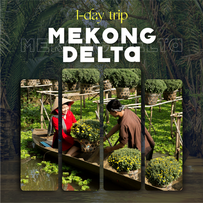 1-Day Classic Ho Chi Minh ➡️ Mekong Delta Tour Experience