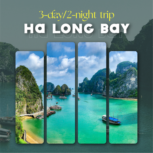 Ha Long Bay🌴 3-Day 2-Night Beach Vacation Tour