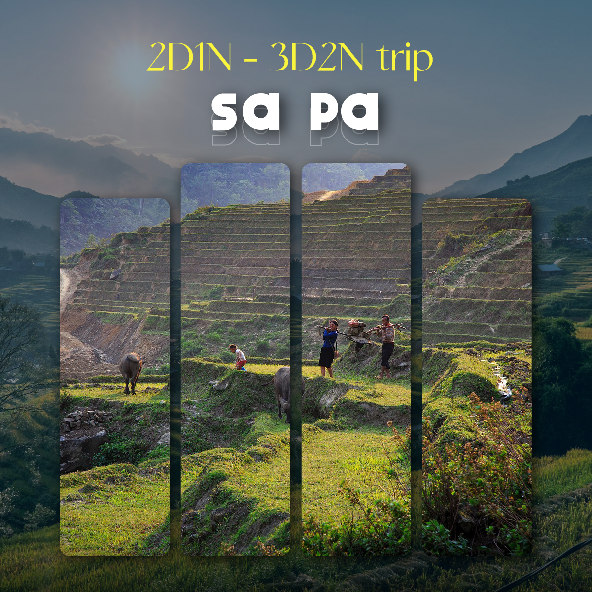 Sapa Tour (Cabin Bus & Reclining Bus)