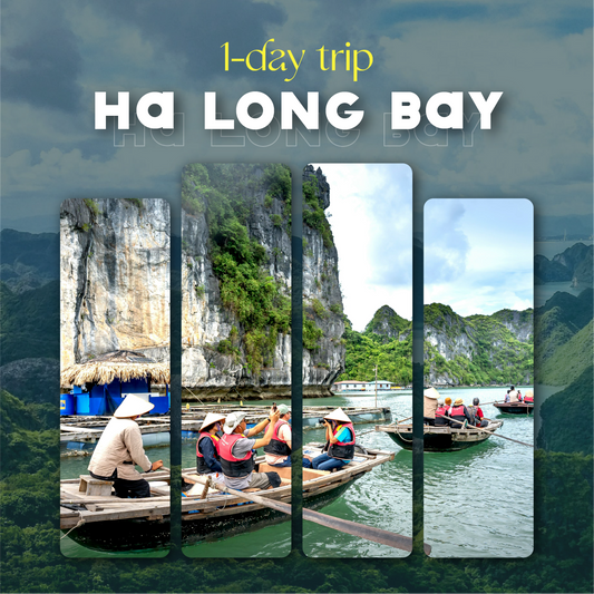 Ha Long Bay Tour (1 Day Trip)
