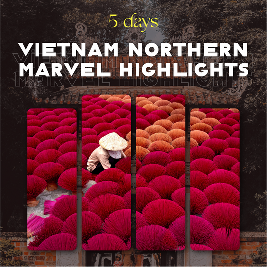 Vietnam Mountain Getaways🚞5-Day Northern Leisure Travel