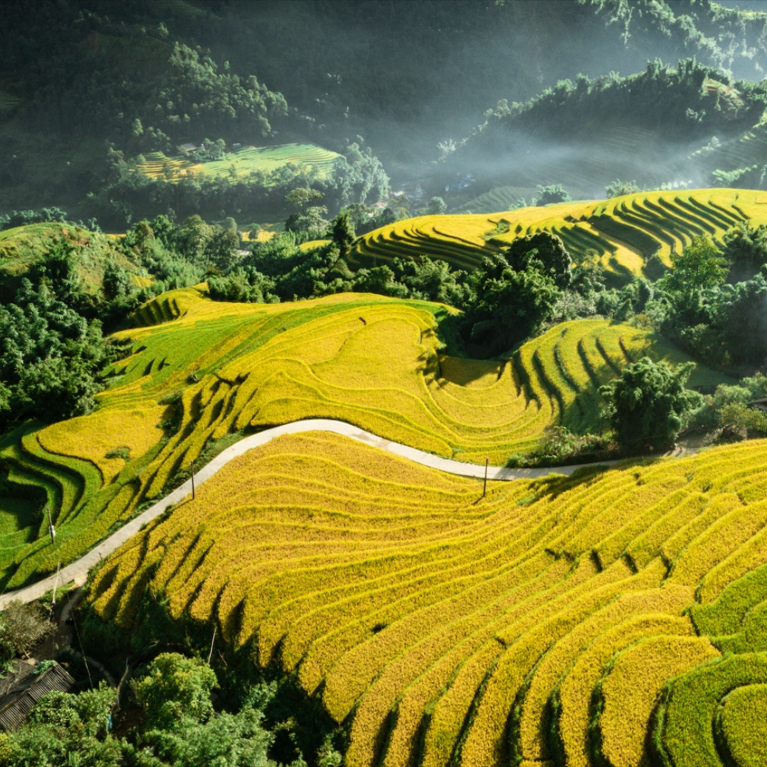 SAPA TOUR (CABIN BUS & RECLINING BUS)