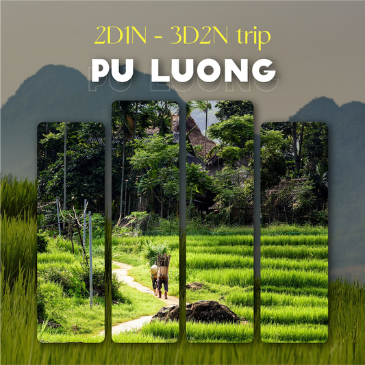 Pu Luong Tour Package 🚎 Sapa's Cooler Cousin