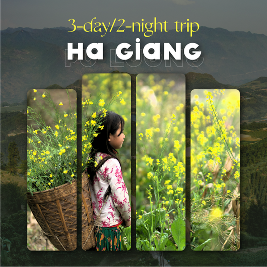 Ha Giang Trip (Driver And Dorm & Cabin Bus 2 Ways)