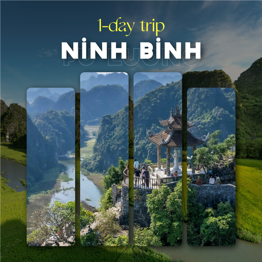 Ninh Binh Tour (1 Day Trip)