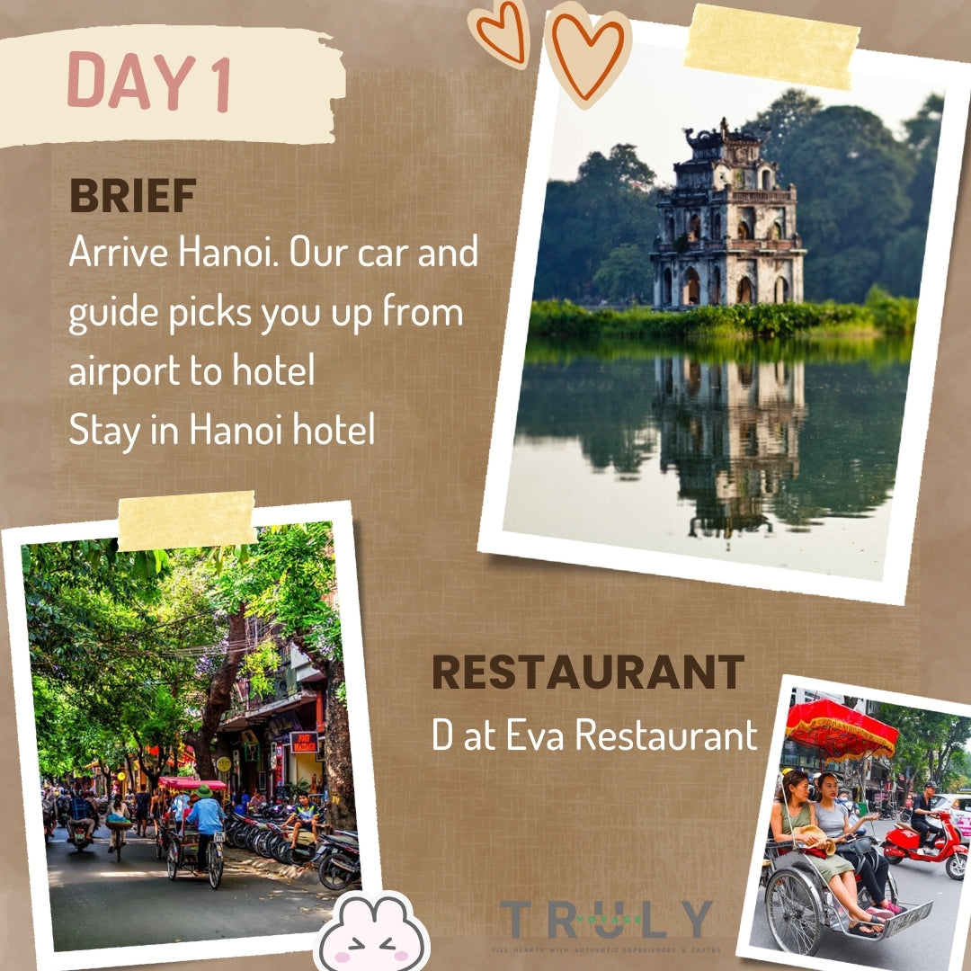 Luxury Package Vacations 🍹 15-Day Travel Across Vietnam