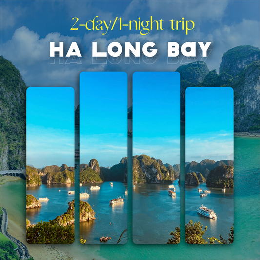 Ha Long Bay Tour (2 Days 1 Night Trip)