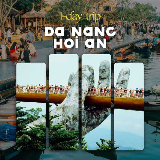 Da Nang to Hoi An| 1-Day Trip with Mountains, Jungle & Lantern Boat
