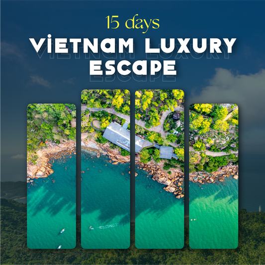 Luxury Package Vacations 🍹 15-Day Travel Across Vietnam