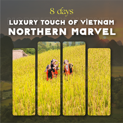 Mountain Vacation in Vietnam ⛰️8-Day Northern Leisure Tour in Style