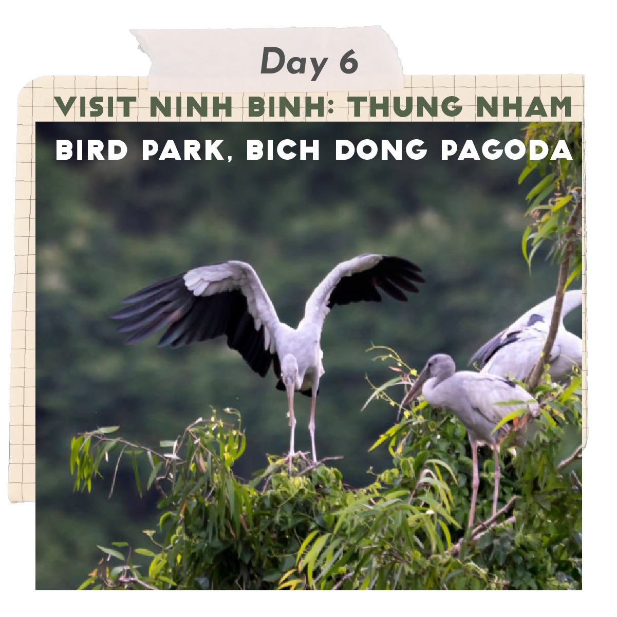 Heritage Travel 🔎 9-Day Vietnam Geography, History, and Culture Trip