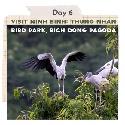 Heritage Travel 🔎 9-Day Vietnam Geography, History, and Culture Trip