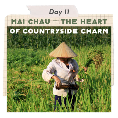Mountain Adventure in North VN 🚵‍♀️ 15-Day Mountain Tour