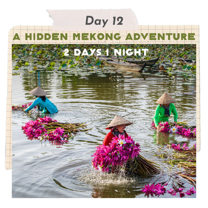 🌊 17-Day Vietnam Beach Trip Package