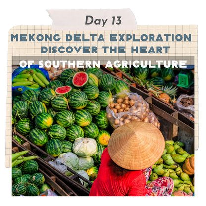 Luxury Package Vacations 🍹 15-Day Travel Across Vietnam