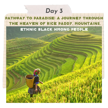 Vietnam Travel 🚎 14-Day Adventure Tour With All Highlights