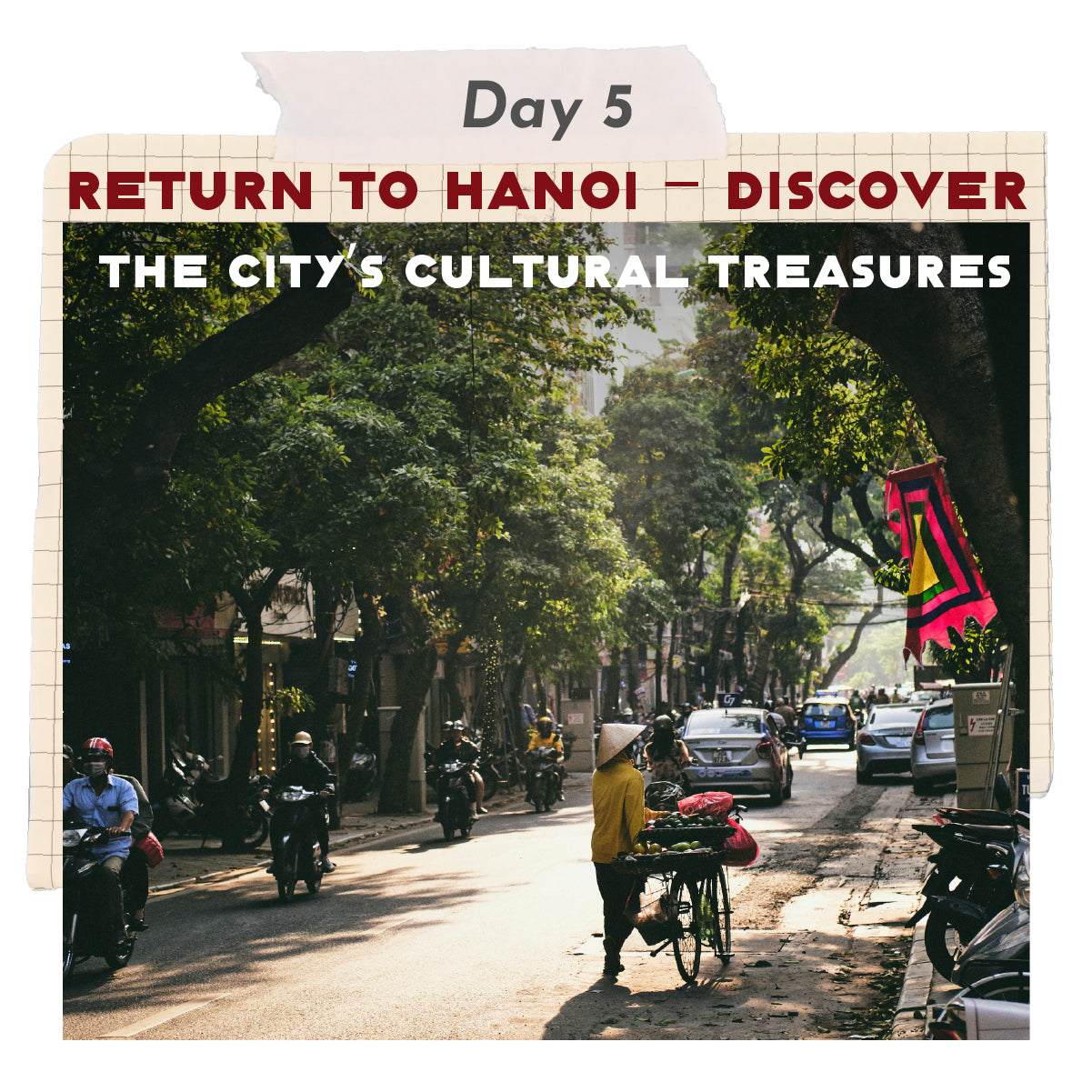 Vietnam Mountain Getaways🚞5-Day Northern Leisure Travel