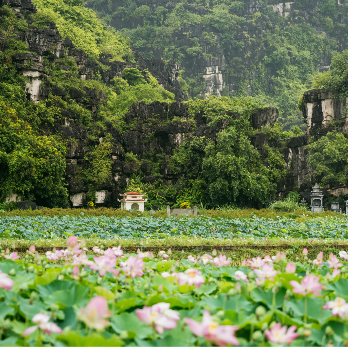 Ninh Binh Vietnam 🚌 2-Day Scenic Ninh Binh Tour from Hanoi
