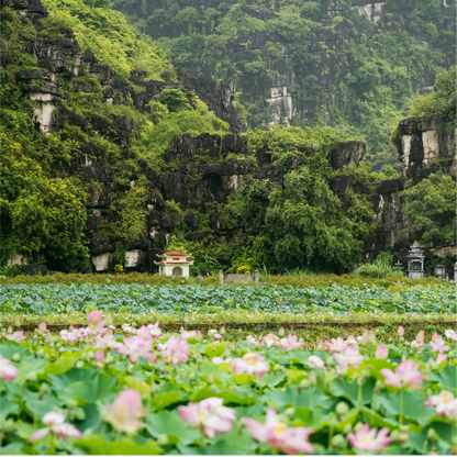 Ninh Binh Vietnam 🚌 2-Day Scenic Ninh Binh Tour from Hanoi