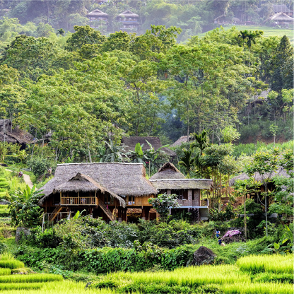 Pu Luong Tour Package 🚎 Sapa's Cooler Cousin