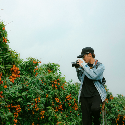 Sweet Summer Escape: Lychee Farm tour