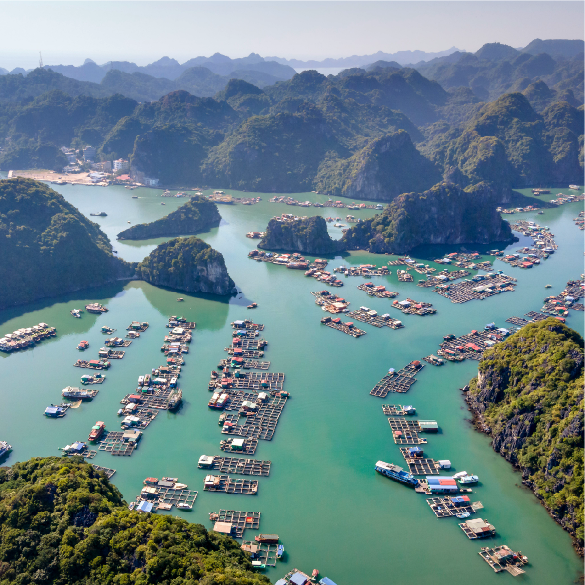 Ha Long Bay Tour (2 Days 1 Night Trip)