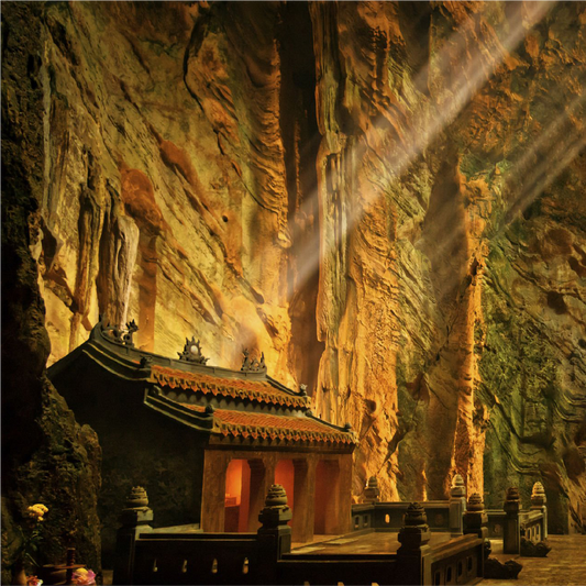 Da Nang to Hoi An| 1-Day Trip with Mountains, Jungle & Lantern Boat